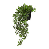 Grön Konstgjorda växter Epipremnum Climb med hängande blad i en svart kruka från hjh OFFICE