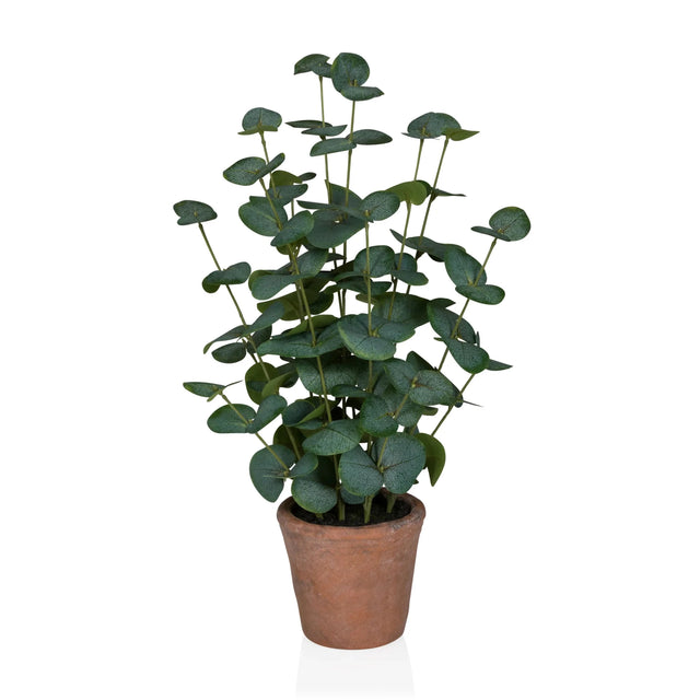 Konstgjorda växter Eucalyptus i grön färg med runda blad i en brun lerkruka från hjh OFFICE