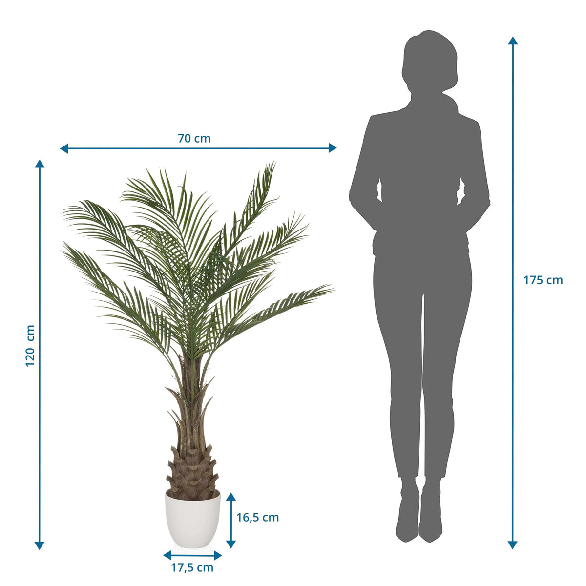 Måttritning av Konstgjorda växter DRACAENA med en höjd på 120 cm och en bredd på 70 cm från hjh OFFICE