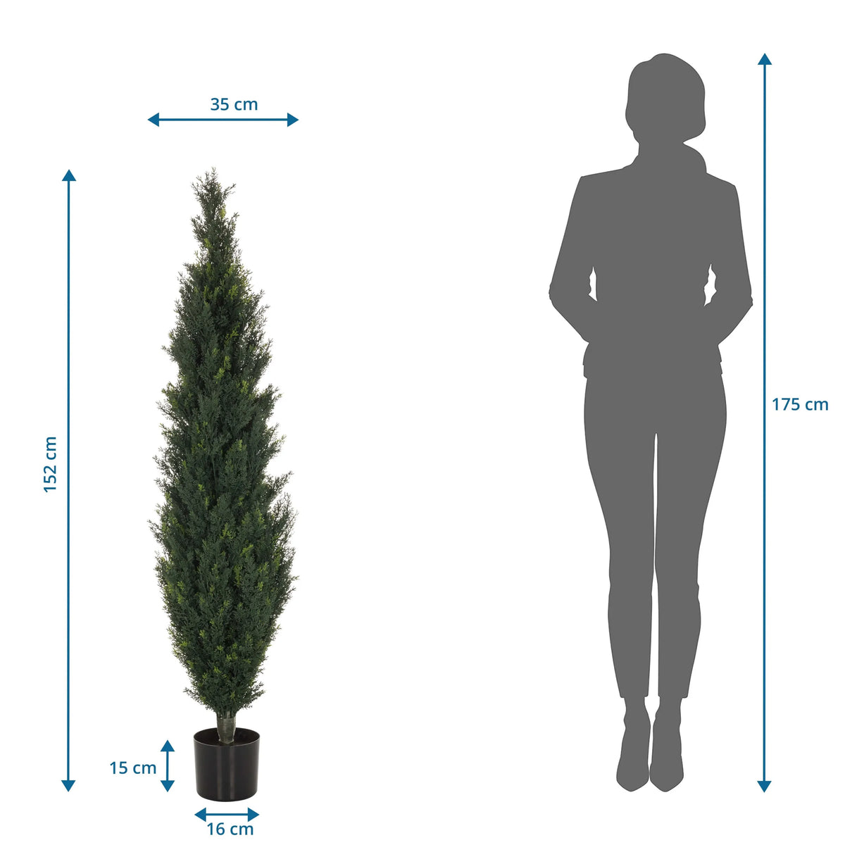 Måttritning av Konstgjorda växter CEDRUS med en höjd på 152 cm från hjh OFFICE