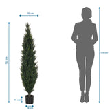 Måttritning av Konstgjorda växter CEDRUS med en höjd på 152 cm från hjh OFFICE