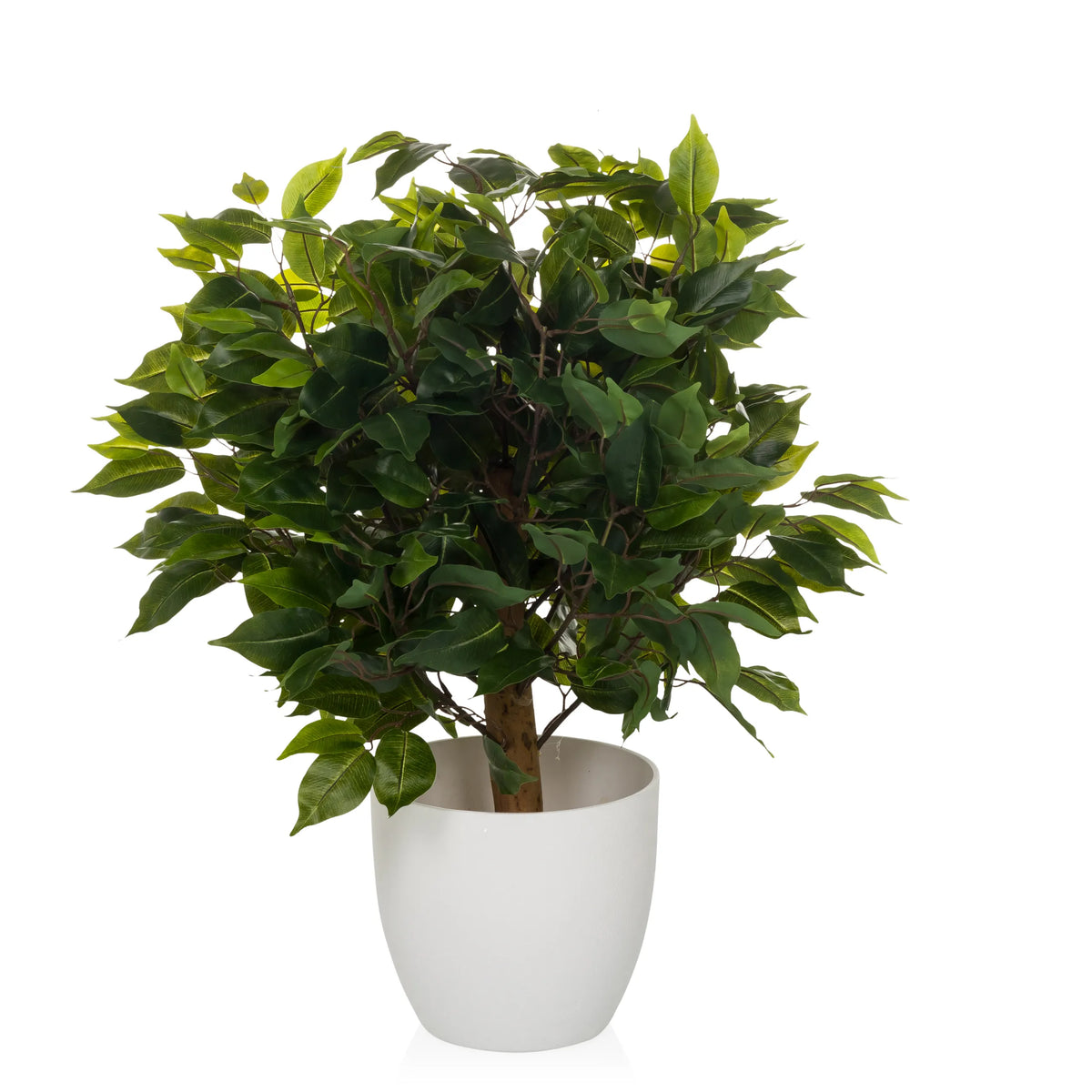 Grön Konstgjorda växter FICUS II i en vit ytterkruka från hjh OFFICE – 360-gradersvy (sidoprofil 90°)