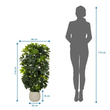 Måttritning av Konstgjorda växter Schefflera 2 med en höjd på 110 cm och bredd på 48 cm från hjh OFFICE