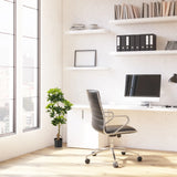 Konstgjord växt SCHEFFLERA i grönt i en svart kruka bredvid ett skrivbord från hjh OFFICE