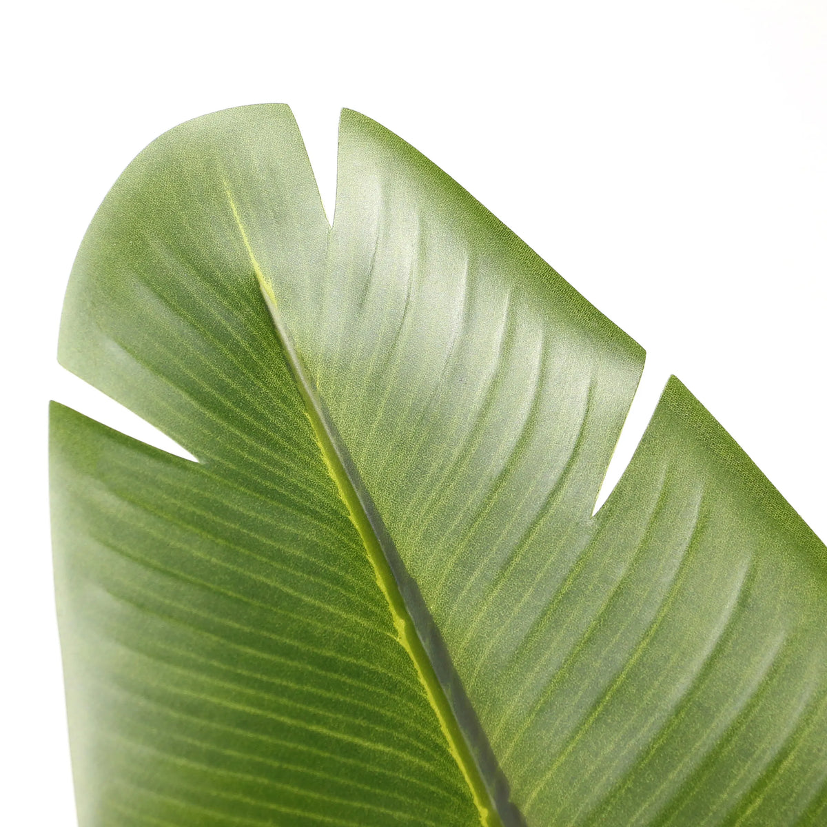 Grönt blad från de Konstgjorda växter BANANE från hjh OFFICE