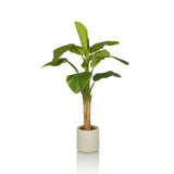 Gröna Konstgjorda växter BANANE I med stora blad i en beige ytterkruka från hjh OFFICE – 360-gradersvy (framifrån 0°)