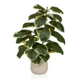 Konstgjorda växter Ficus 3 i grönt och vitt med en beige ytterkruka från hjh OFFICE
