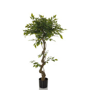 Grön Konstgjorda växter FICUS I med tvinnad stam i en svart kruka från hjh OFFICE