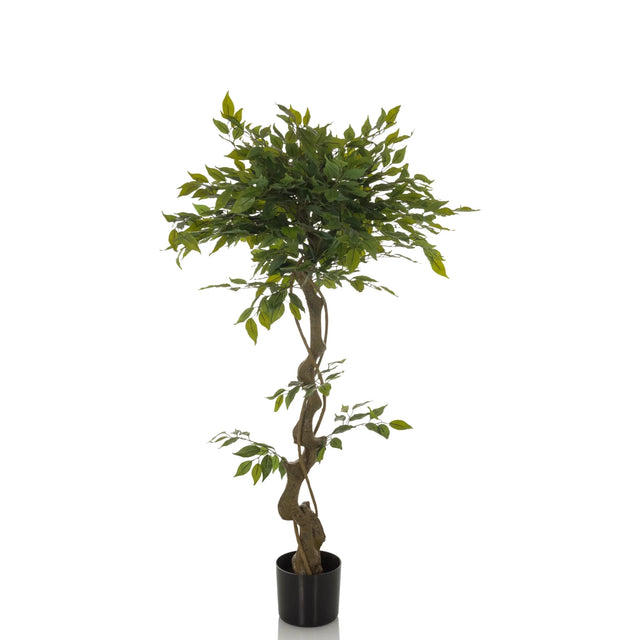 Grön Konstgjorda växter FICUS I med tvinnad stam i en svart kruka från hjh OFFICE