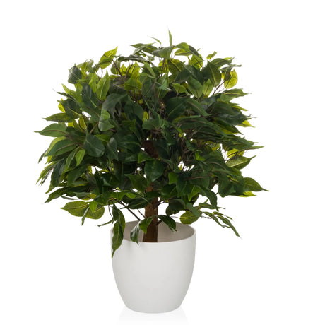Konstgjorda växter FICUS II i grönt med tätt bladverk i en vit kruka från hjh OFFICE
