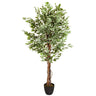 Konstgjorda växter FICUS med grönvita brokiga blad i en svart kruka från hjh OFFICE