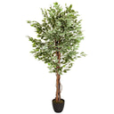 Konstgjorda växter FICUS med grönvita brokiga blad i en svart kruka från hjh OFFICE