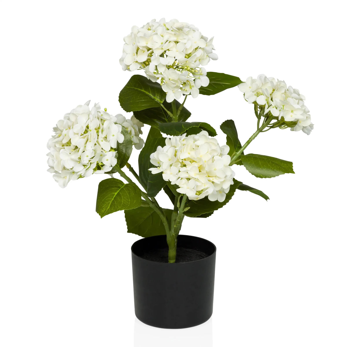 Konstgjorda växter HYDRANGEA med vita blommor, gröna blad och svart kruka från hjh OFFICE