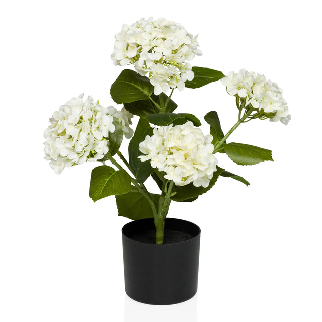 Konstgjorda växter HYDRANGEA med vita blommor, gröna blad och svart kruka från hjh OFFICE