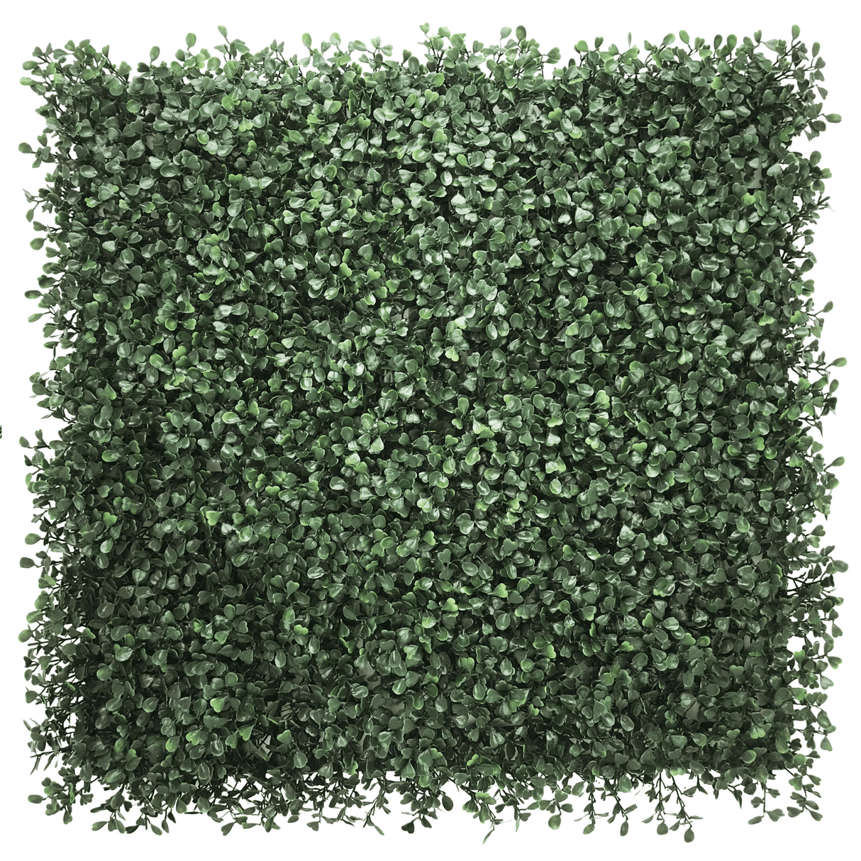 LEAFLUXE 1 - Växtmatta 