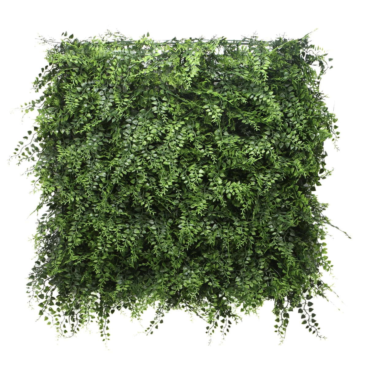 Grön Växtmatta LEAFLUXE 2 med täta, små blad från hjh LIVING