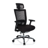 Hög kontorsstol NOVA PRO I i svart med nätrygg, nackstöd och blankt underrede från hjh OFFICE