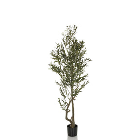 Grön Konstgjorda växter OLIVE I med smal växtform i en svart kruka från hjh OFFICE