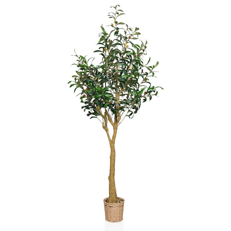 Konstgjorda växter OLIVE II i grönt med flätad korgkruka och naturlig stam från hjh OFFICE
