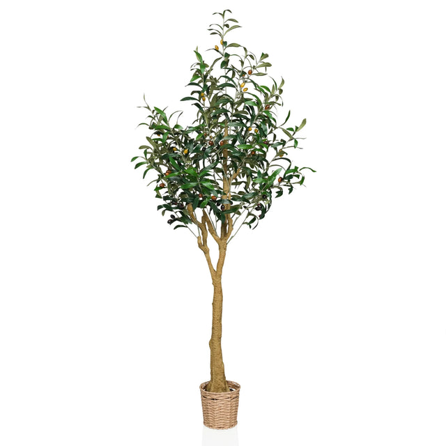 Konstgjorda växter OLIVE II i grönt med flätad korgkruka och naturlig stam från hjh OFFICE