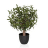 Konstgjorda växter Olive S med gröna blad i en enkel svart kruka från hjh OFFICE