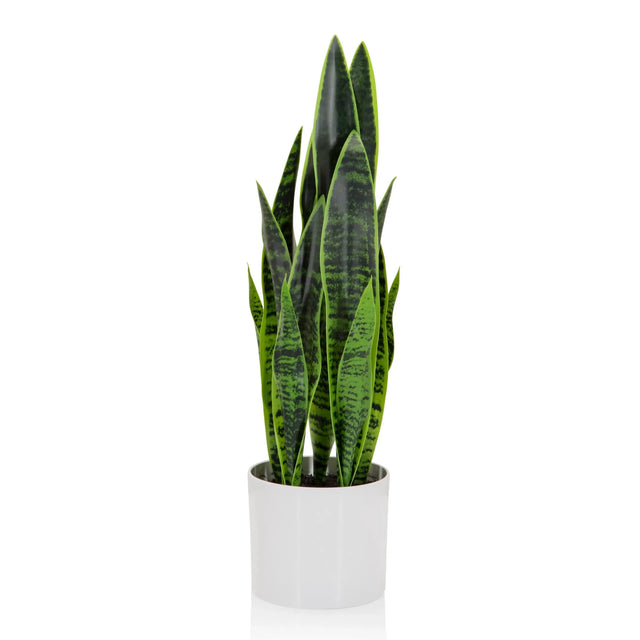Konstgjorda växter SANSEVIERIA i grönt med långa blad i en vit ytterkruka från hjh OFFICE