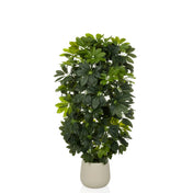 Konstgjorda växter Schefflera 2 i grönt med täta blad i en enkel beige kruka från hjh OFFICE