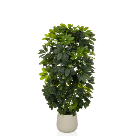 Konstgjorda växter Schefflera 2 i grönt med täta blad i en enkel beige kruka från hjh OFFICE