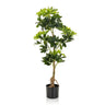 Grön Konstgjorda växter SCHEFFLERA med glansiga blad i en svart kruka från hjh OFFICE