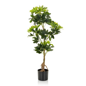 Grön Konstgjorda växter SCHEFFLERA med glansiga blad i en svart kruka från hjh OFFICE