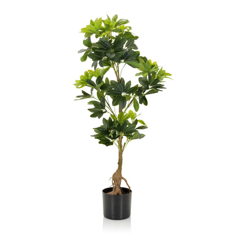 Grön Konstgjorda växter SCHEFFLERA med glansiga blad i en svart kruka från hjh OFFICE
