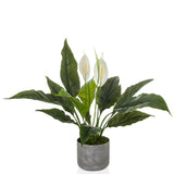Konstgjorda växter Spathiphyllum 1 med gröna blad, två vita blommor och grå kruka från hjh OFFICE