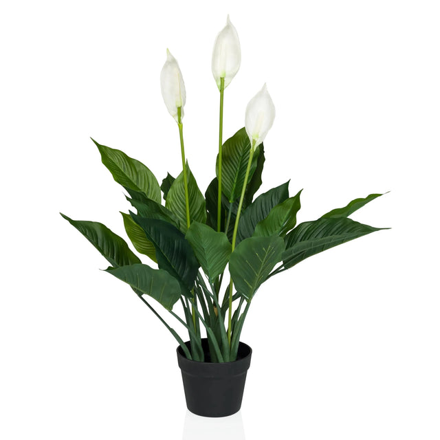 Konstgjorda växter SPATHIPHYLLUM i grönt och vitt med tre blommor i en svart kruka från hjh OFFICE